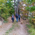 Foto 2022 2845890461