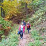 Foto 2022 3332776601