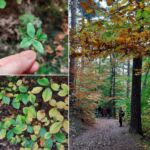 Foto 2022 1617106494