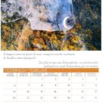 Foto 2023 1291219753