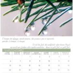 Foto 2023 2561966489