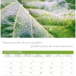 Foto 2023 1653648278