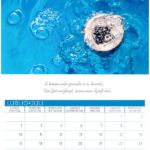 Foto 2023 1318331515