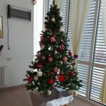 Foto 2022 3069055992