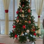 Foto 2022 3340346071