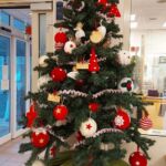 Foto 2022 1732156279