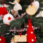 Foto 2022 2474763985