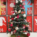 Foto 2022 1485189631