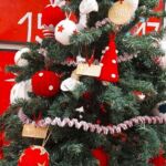 Foto 2022 1113033901