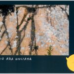 Foto 2023 2085016376