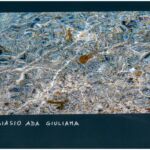 Foto 2023 3696700332