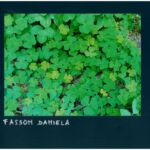 Foto 2023 3333788166