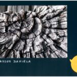 Foto 2023 1266662807