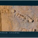 Foto 2023 4292362487