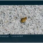 Foto 2023 2376256293