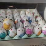 Foto 2023 3296708798