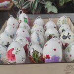 Foto 2023 1525186788