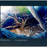 Foto 2023 3140847034