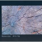 Foto 2023 1381983690