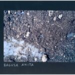 Foto 2023 1627925123