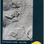 Foto 2023 1199757074