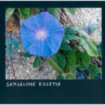 Foto 2023 3073503337