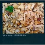 Foto 2023 3006205660