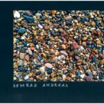 Foto 2023 3243607310