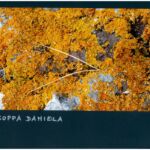 Foto 2023 1064906885