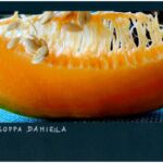 Foto 2023 1380691434