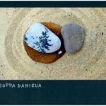 Foto 2023 4211665221