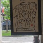 Foto 2023 2281909244