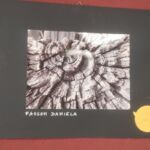 Foto 2023 1618137437