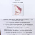 Foto 2023 2694285374