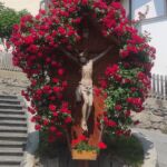 Foto 2023 1220961192