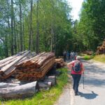 Foto 2023 3354598557