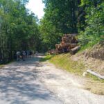 Foto 2023 2881366432