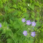 Foto 2023 2059573885