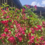 Foto 2023 3312104693