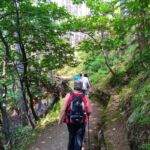 Foto 2023 1087377166