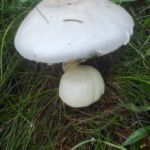Foto 2023 2979151088