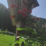 Foto 2023 2739273970