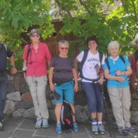 Foto 2023 2817355056