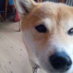 Foto 2023 1863261407