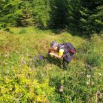 Foto 2023 3747743482