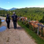 Foto 2023 2647648446