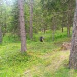 Foto 2023 1528940035