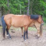 Foto 2023 2631398607