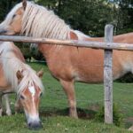 Foto 2023 1669420757