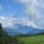 Foto 2023 2332556340